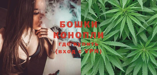 прущие грибы Богданович