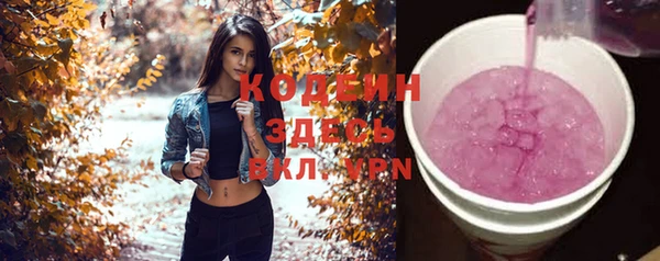 прущие грибы Богданович