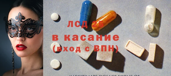дмт Бородино