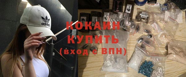 прущие грибы Богданович