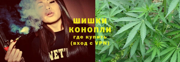 ПСИЛОЦИБИНОВЫЕ ГРИБЫ Богородицк