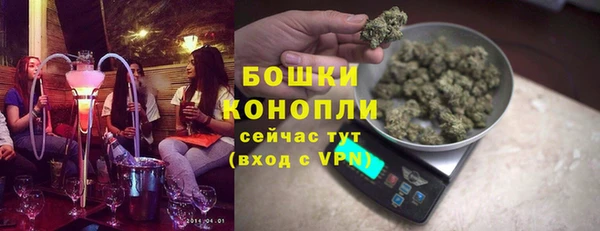 прущие грибы Богданович